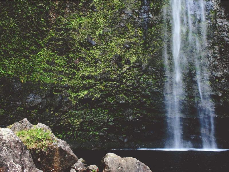 sudoku cognitive benefits screenshot 3