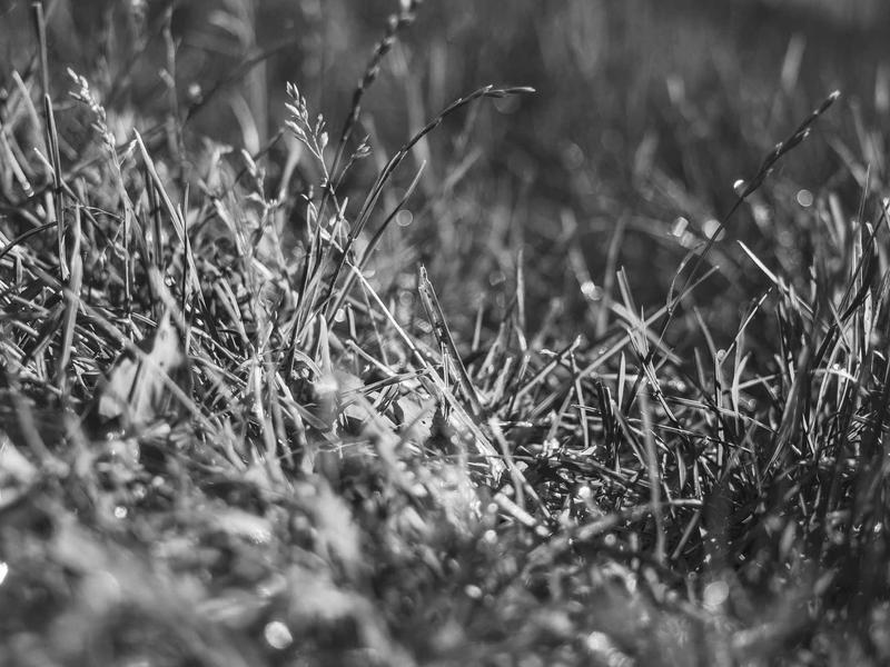 sudoku cognitive benefits screenshot 5